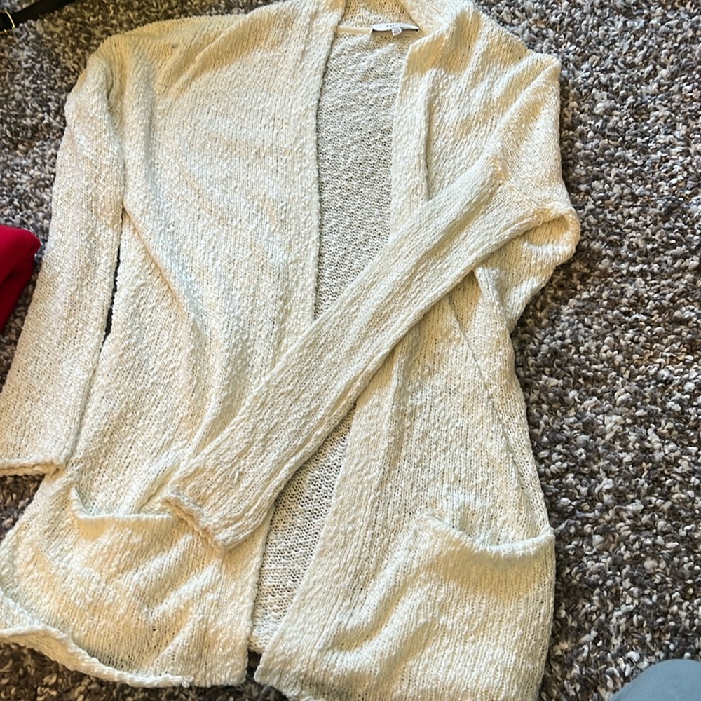 Aritzia Sweater